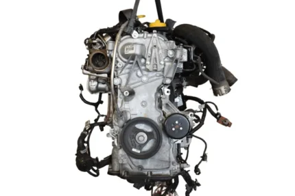 Acquista il Motore usato Dacia Sandero 1.0 TCE (III) 2020> H4DF480 17671 per 1 800 € ⏩ Autoriccio