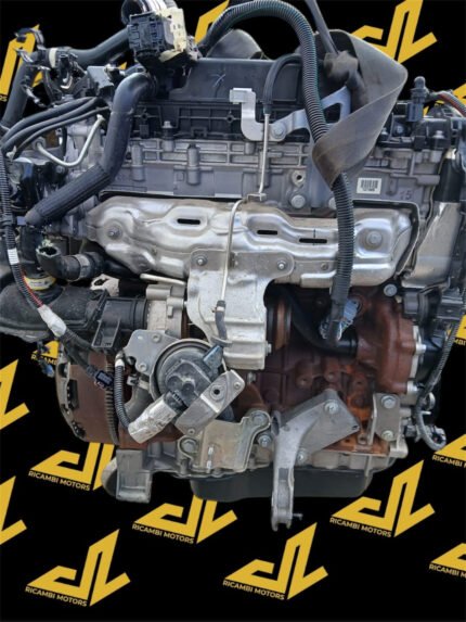 Motore completo Peugeot 2.0 Delphi AH03